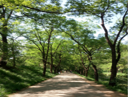 承德避暑山庄、双塔山景区双汽一日纯玩游（赠送城隍庙）